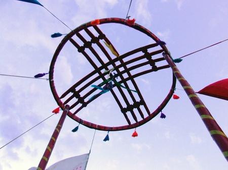 в царстві цикад