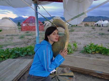 в царстві цикад